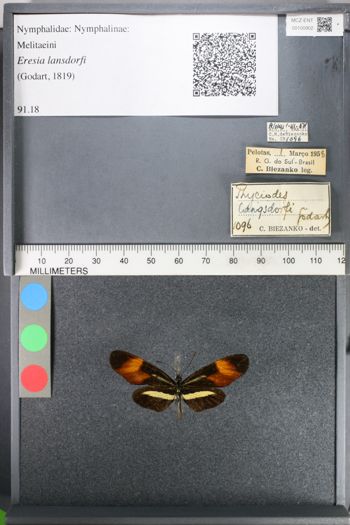 Media type: image;   Entomology 100902